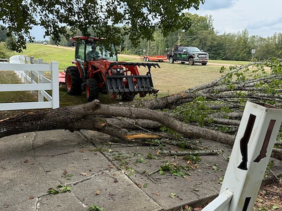 Storm Debris Removal