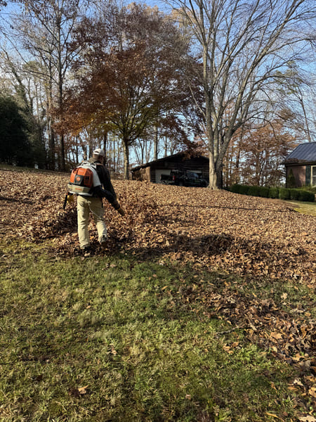Do I need spring cleanup before the first mow in Oxford MS?