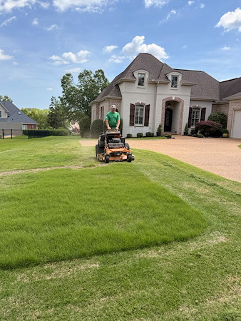 How Often Should You Schedule Lawn Mowing to Keep Your Yard Healthy and Clean?