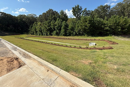 Community Green, MS