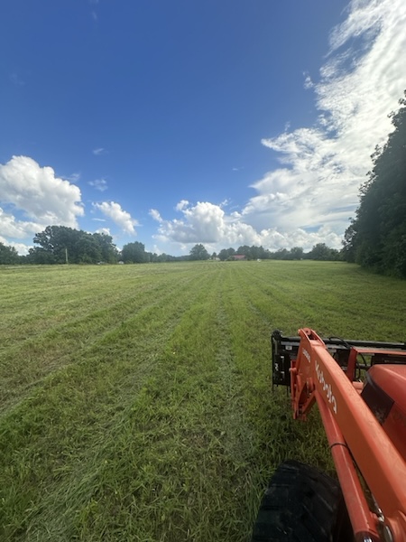 Olive Branch, MS