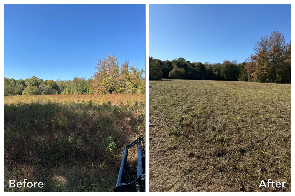 Bush Hogging Services in Oxford MS