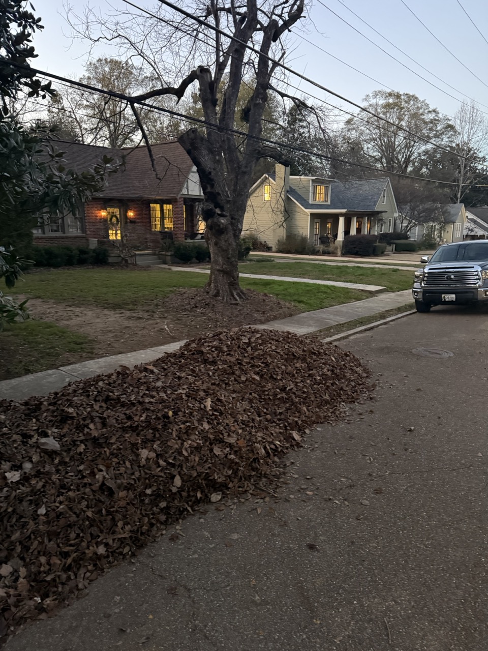 Essential Leaf Cleanup in Oxford MS