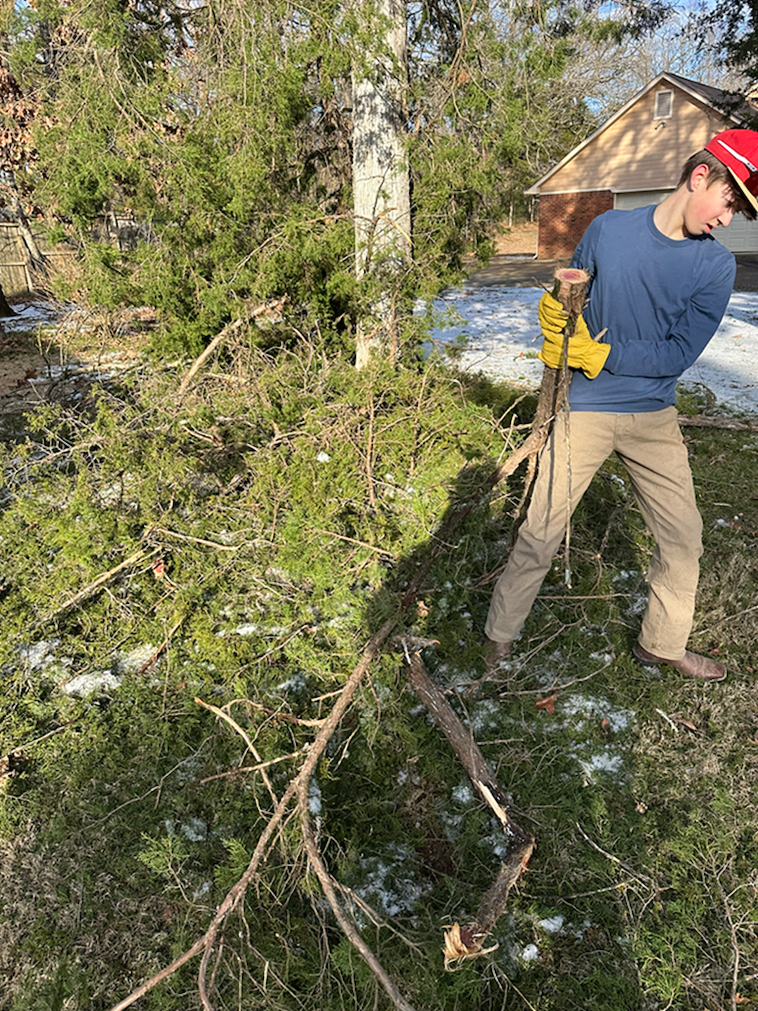 Ice Storm Cleanup in Oxford, MS