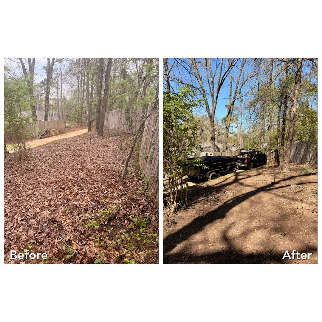 Leaf Cleanup and Removal in Oxford, MS