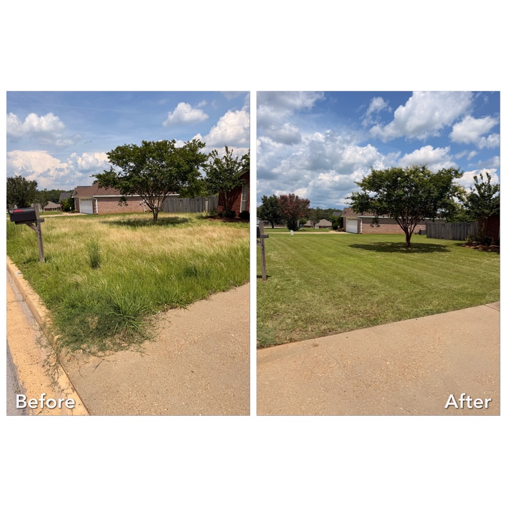 Overgrown Lawn Reset and Routine Maintenance in Oxford MS