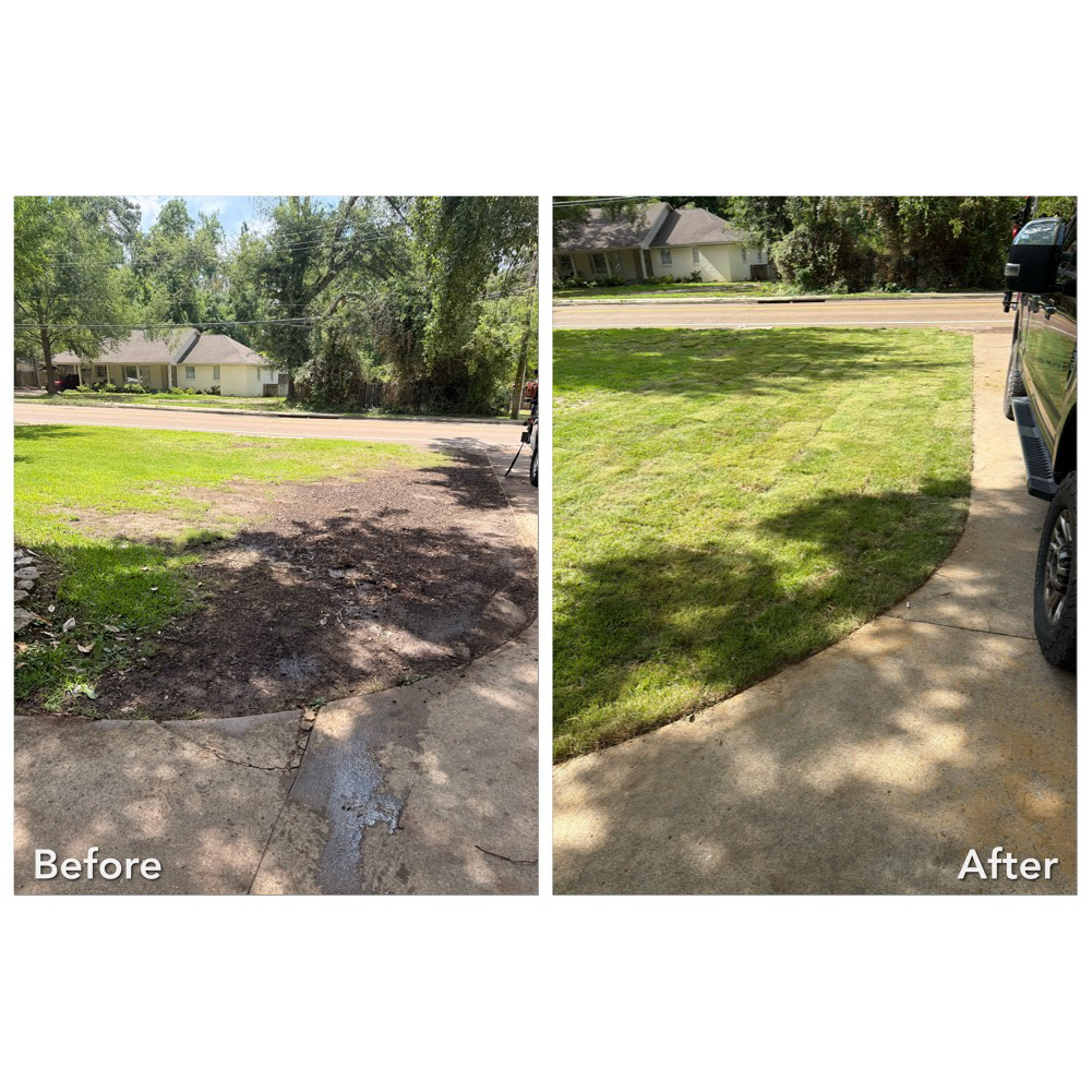 Palisades Zoysia Sod Installation In Oxford, MS