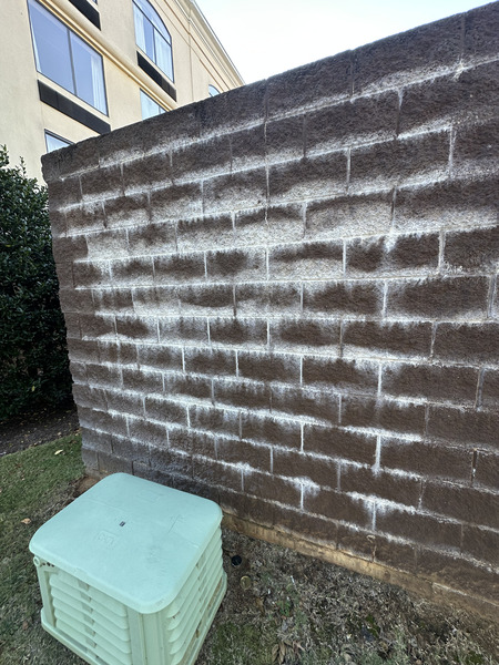 Efflorescence removal oxford ms