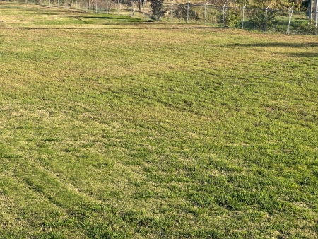 Commercial Lawn Care