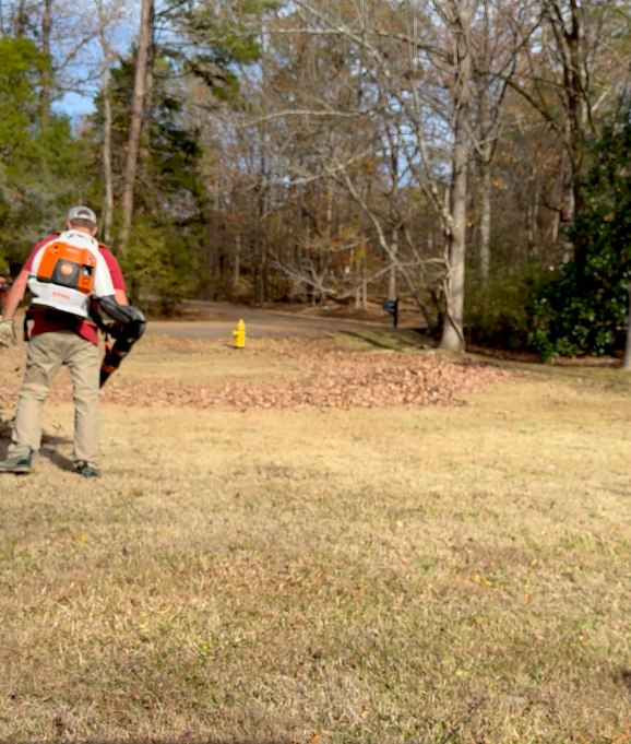 Leaf Cleanup Background