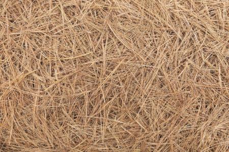 Pine Straw & Mulching