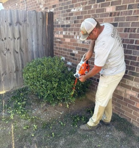 Shrub Trimming