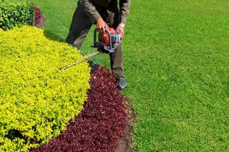 Shrub Trimming