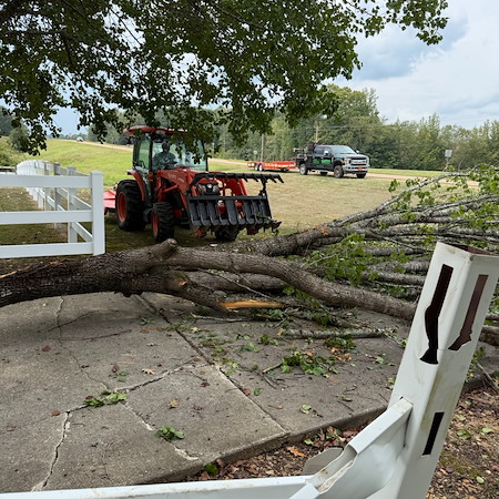 Storm Debris Cleanup