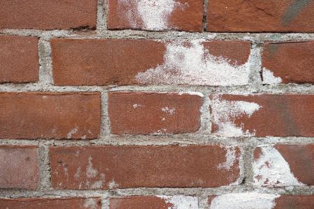 Oxidation & Efflorescence Removal
